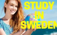 4 Reasons to study in SWEDEN