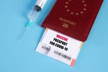 Iceland Becomes First Schengen Country to Grant COVID-19 Vaccination Certificates