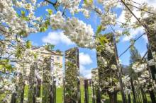 University garden declared as one of UK’s top green spaces